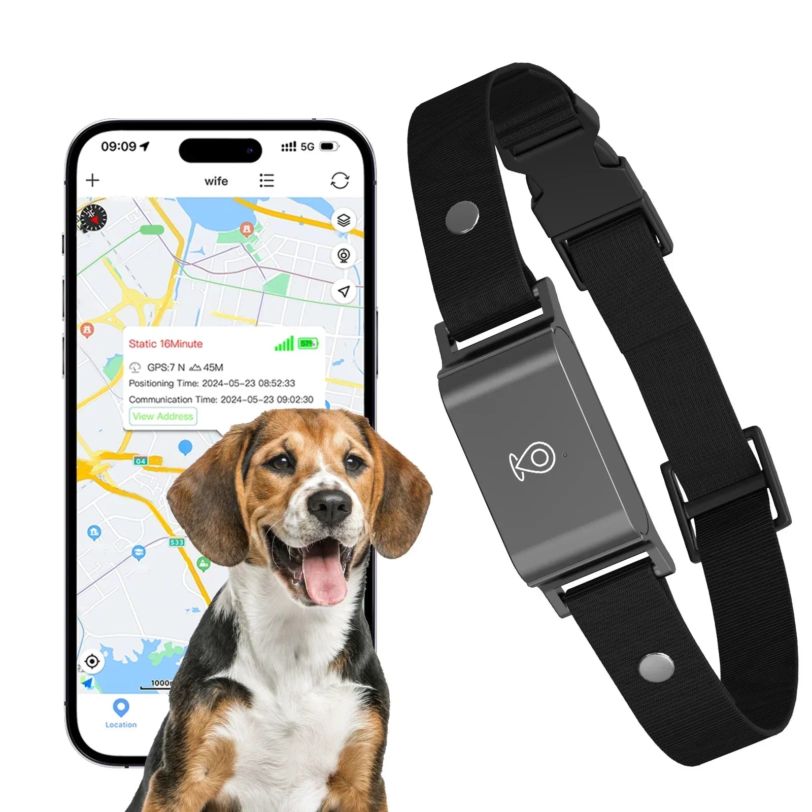 Gadgets Utiles pour Chien