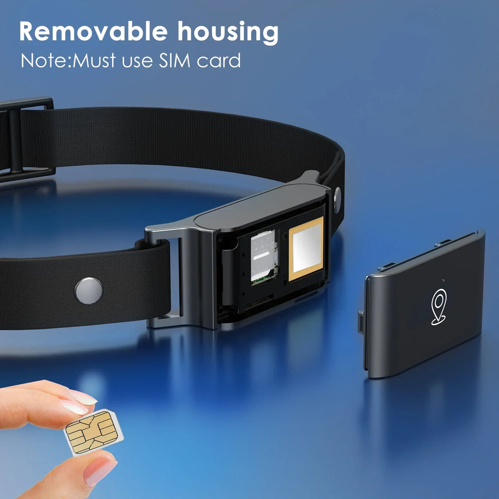 Collier GPS 4G Mini - Suivi Temps Réel & Étanche IP67