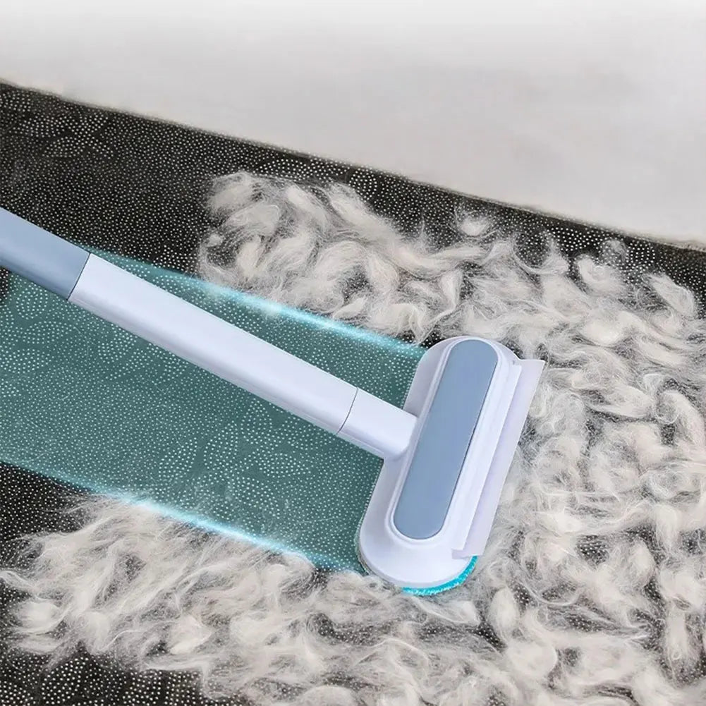 Brosse Anti-Poils Réutilisable Shunmaii