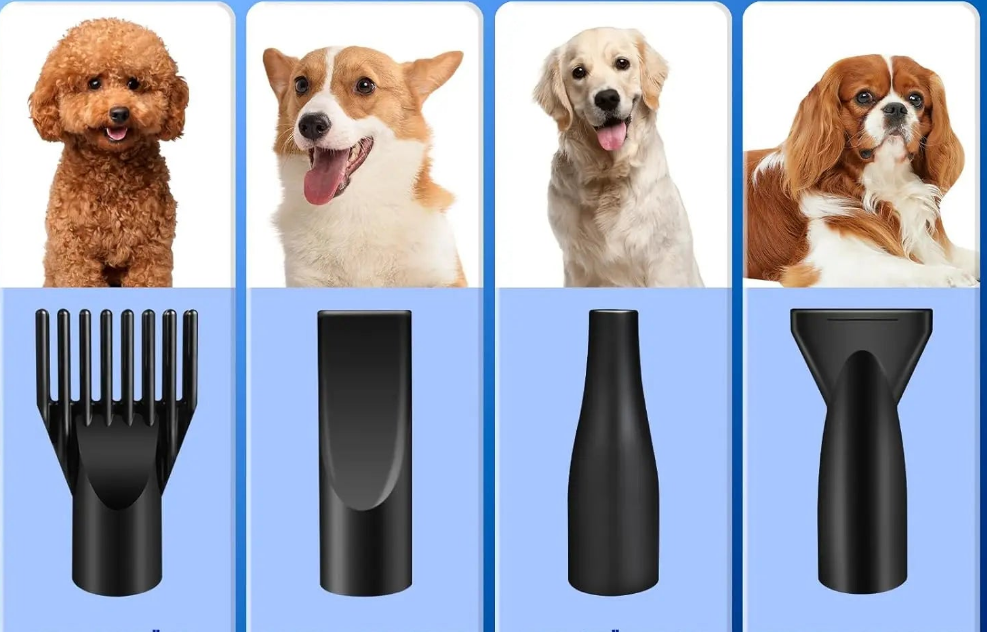 Sèche-Chien Professionnel 3500W